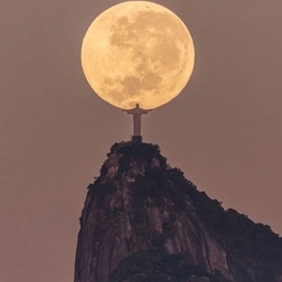 피드에 업로드 된 이미지