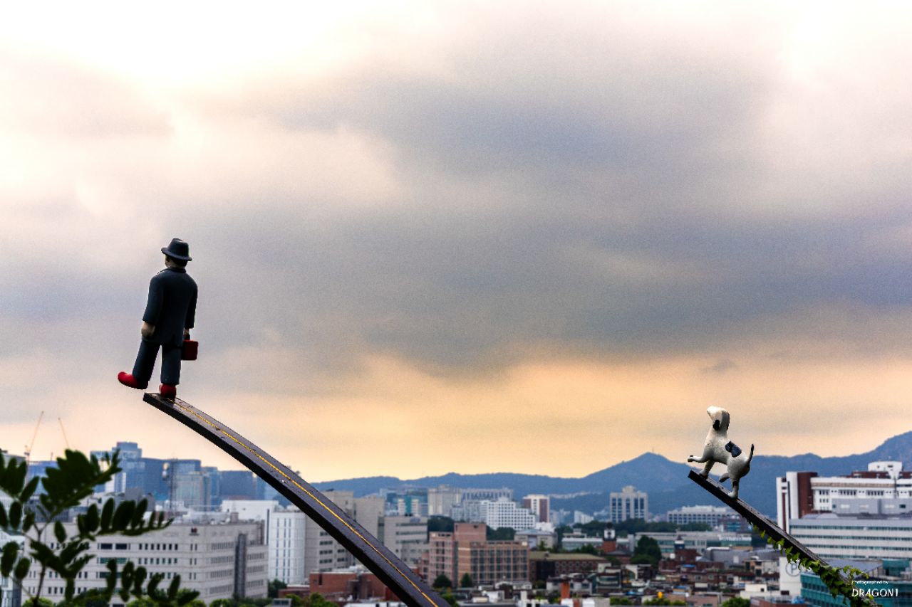 피드 이미지