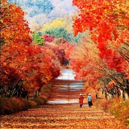 피드에 업로드 된 이미지