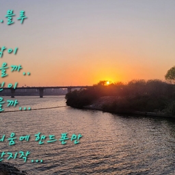 피드에 업로드 된 이미지