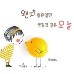 피드에 업로드 된 이미지