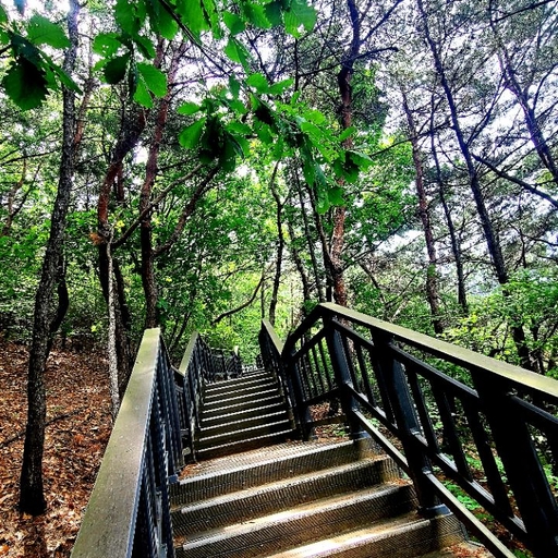 피드 이미지