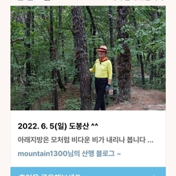 피드에 업로드 된 이미지