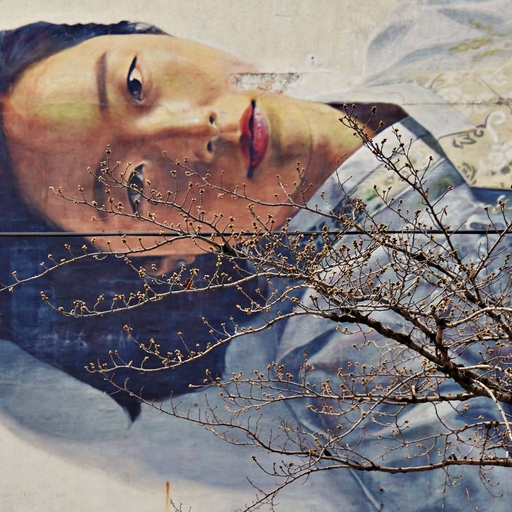 피드 이미지