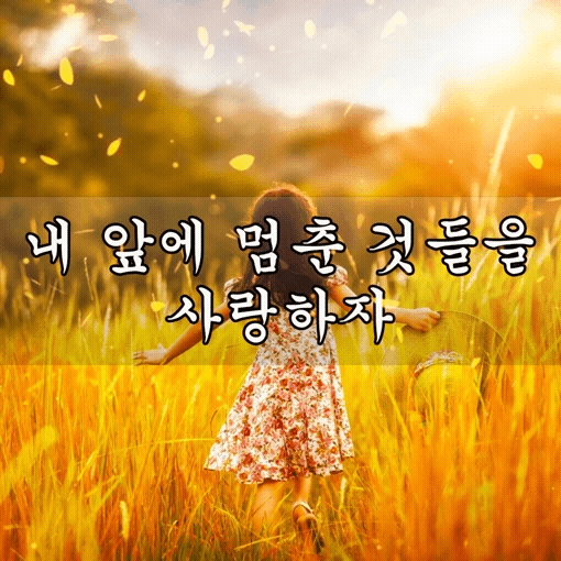 피드 이미지