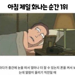 피드에 업로드 된 이미지