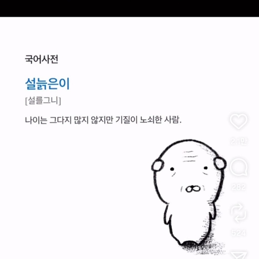 피드 이미지