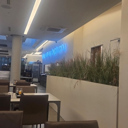 피드에 업로드 된 이미지