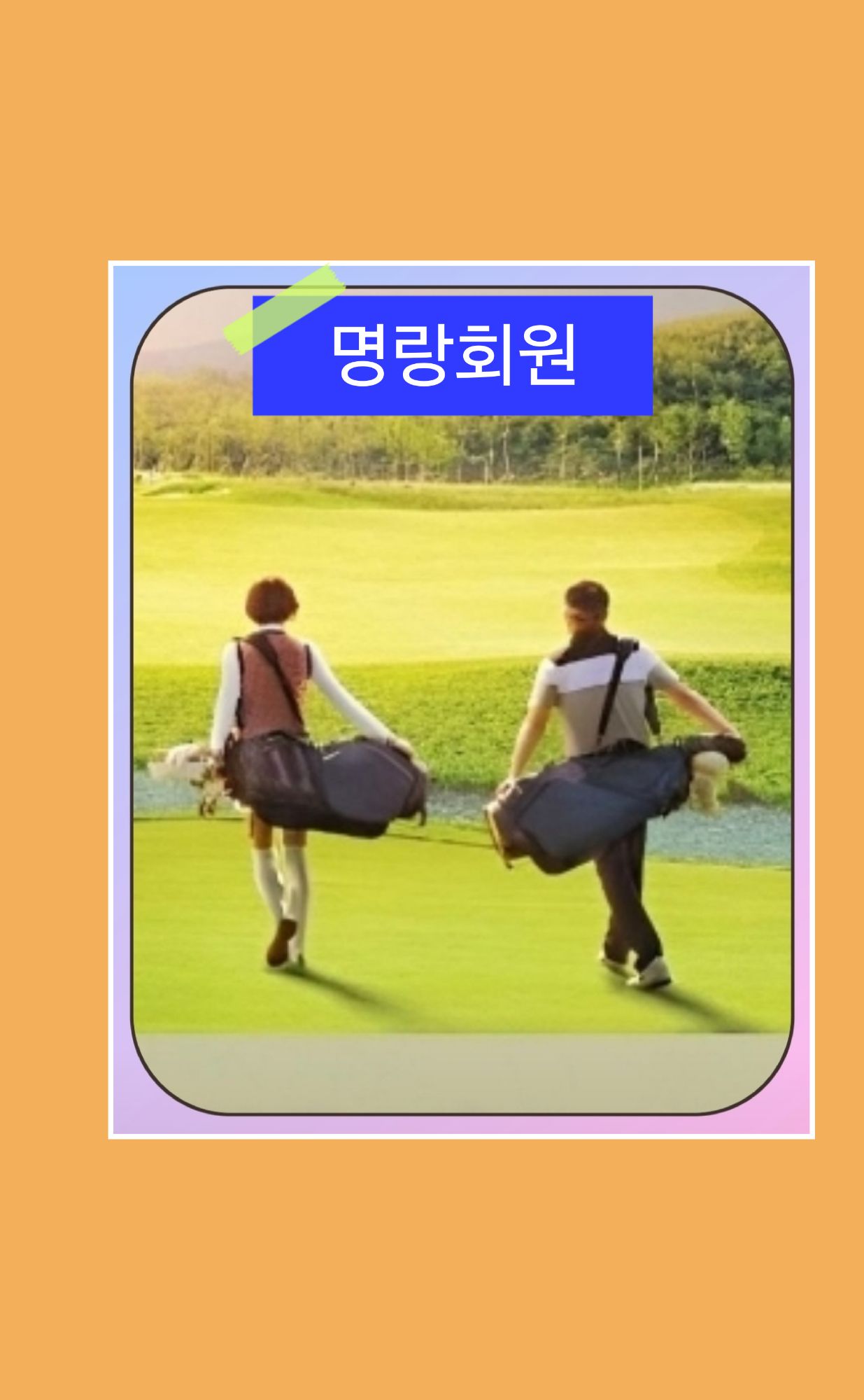 피드 이미지