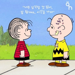 피드에 업로드 된 이미지