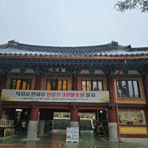 피드 이미지