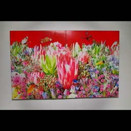 피드에 업로드 된 이미지