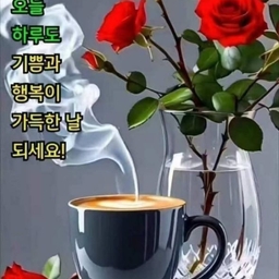 피드에 업로드 된 이미지