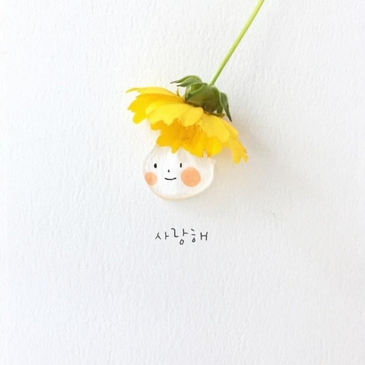 피드 이미지