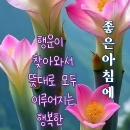 피드에 업로드 된 이미지