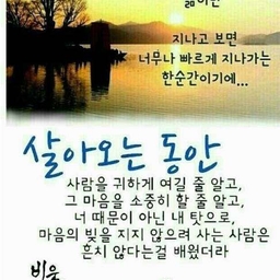 피드에 업로드 된 이미지