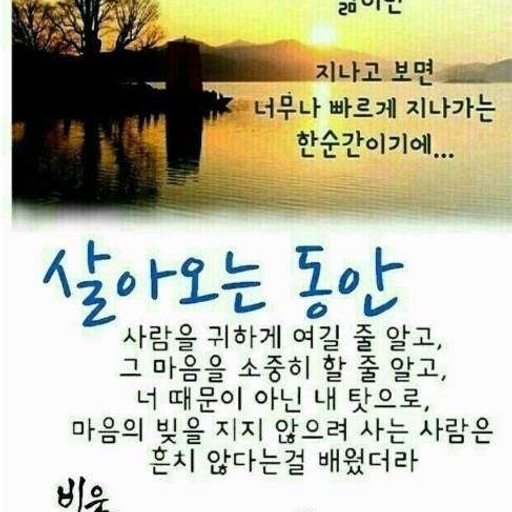 피드 이미지