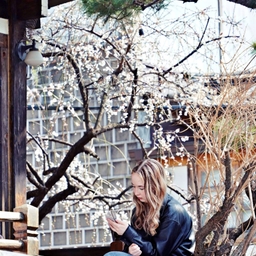 피드에 업로드 된 이미지