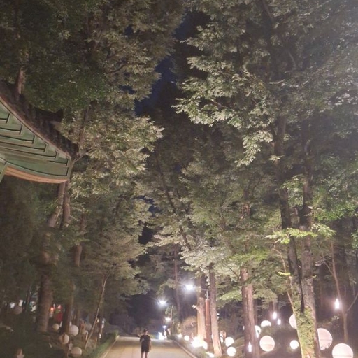 피드 이미지