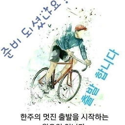 피드에 업로드 된 이미지