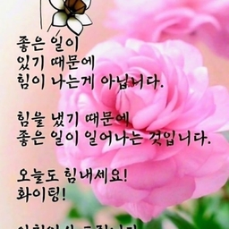 피드에 업로드 된 이미지