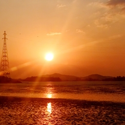 피드에 업로드 된 이미지