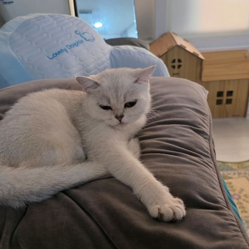 피드 이미지
