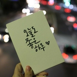 피드에 업로드 된 이미지