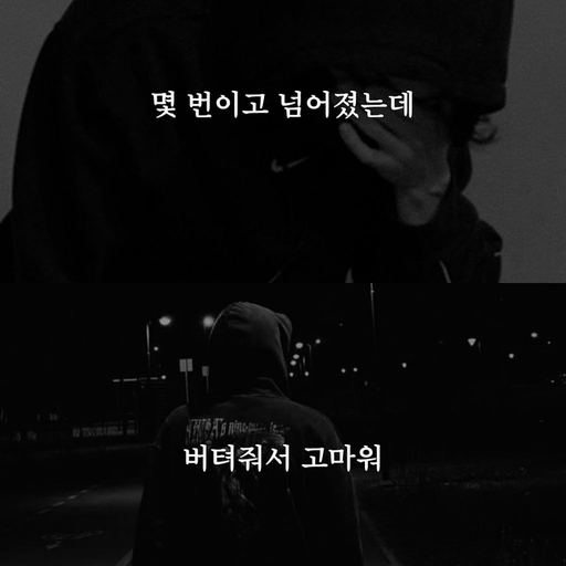 피드 이미지
