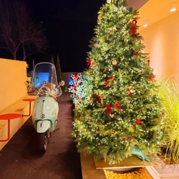 피드에 업로드 된 이미지