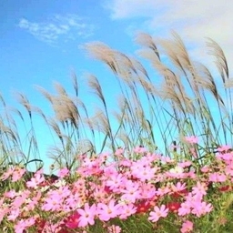 공지사항에 업로드 된 이미지