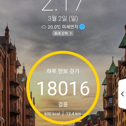 피드에 업로드 된 이미지