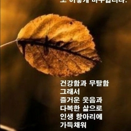 피드에 업로드 된 이미지