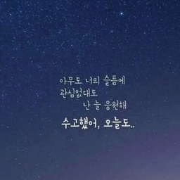 피드에 업로드 된 이미지