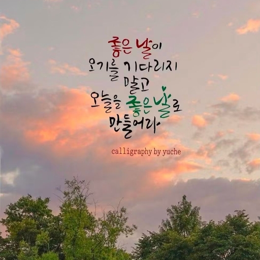 피드 이미지