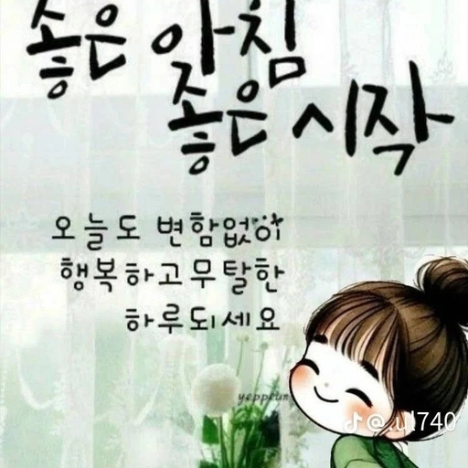 피드 이미지