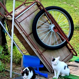 피드에 업로드 된 이미지