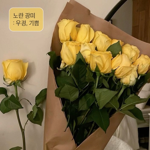 피드 이미지