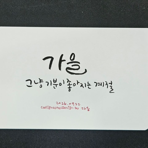 피드 이미지