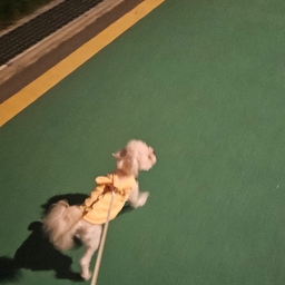 피드에 업로드 된 이미지