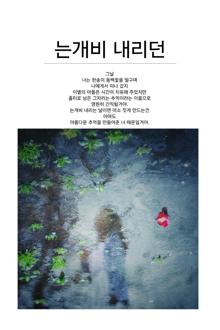 피드 이미지