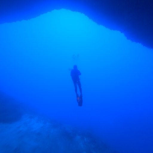 모임 대표 이미지