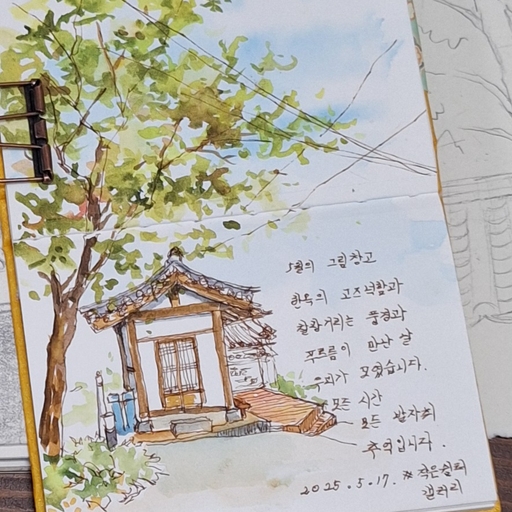 피드 이미지