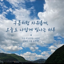 피드에 업로드 된 이미지