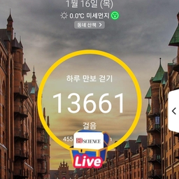 피드에 업로드 된 이미지