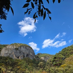 피드에 업로드 된 이미지