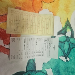 피드에 업로드 된 이미지