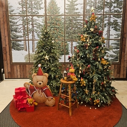 피드에 업로드 된 이미지