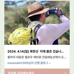 피드에 업로드 된 이미지