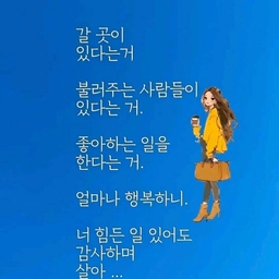 피드에 업로드 된 이미지